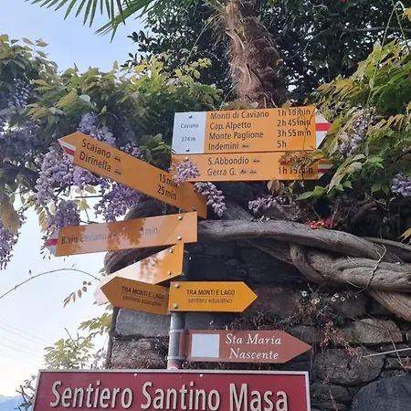 بيت للعطل Wohlfuehl-oase Mit Traumblick Fuer Alle Generationen Inkl Aufzug Gambarogno