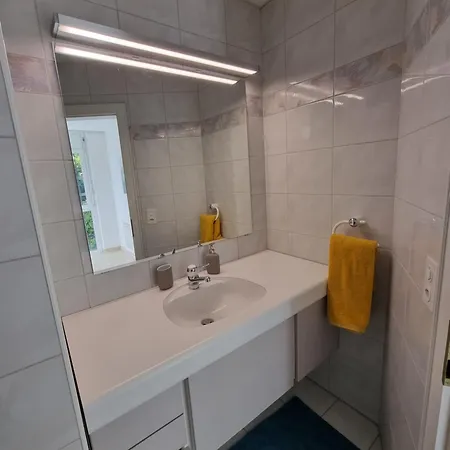 Wohlfuehl-oase Mit Traumblick Fuer Alle Generationen Inkl Aufzug Vakantiehuis Gambarogno